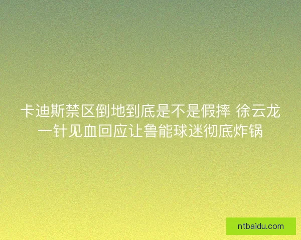卡迪斯禁区倒地到底是不是假摔 徐云龙一针见血回应让鲁能球迷彻底炸锅